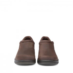 Brown Dansko Casual Walden Synthetic Men's Clogs | NCXHID-145