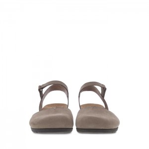 Grey Brown Dansko Strap Roma Leather Women's Sandals | WPFAYG-937