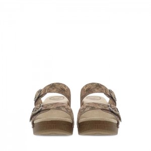 Grey Brown Metal Dansko Casual Sausalito Leather Women's Sandals | ATVWUO-871