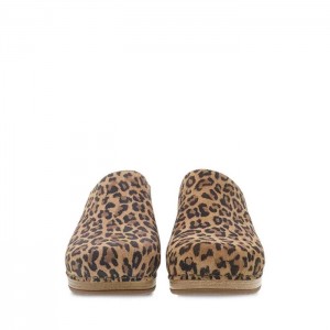 Leopard Dansko Brenda Suede Women's Clogs | RTYPAN-680